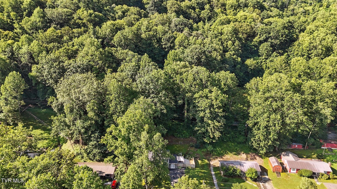 Photo #39: 250 Wallens Ridge Boulevard