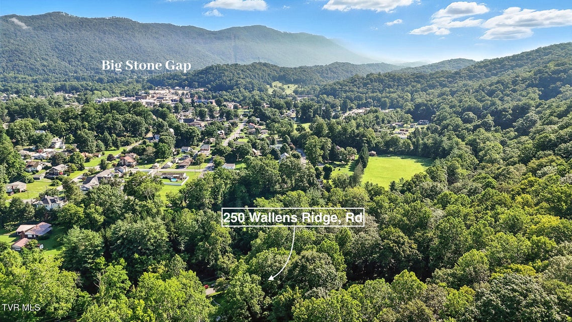 Photo #40: 250 Wallens Ridge Boulevard