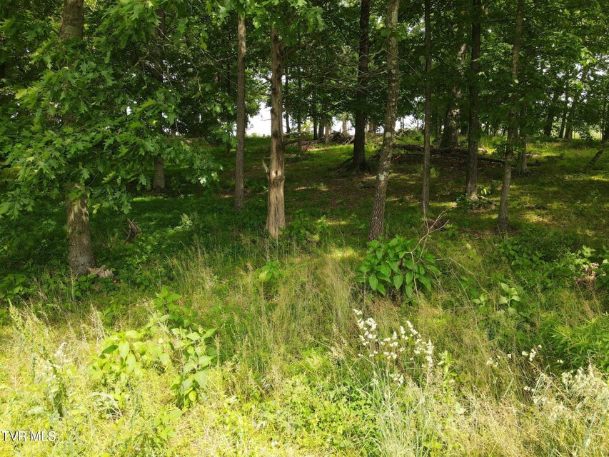 Photo #11: Tbd Hales Chapel Rd 