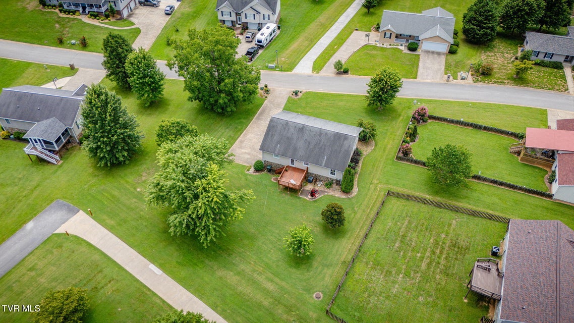 Photo #31: 234 Reed Avenue