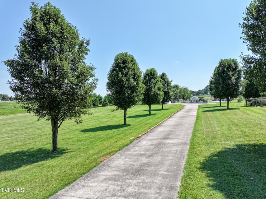 Photo #83: 169 Stockton Road