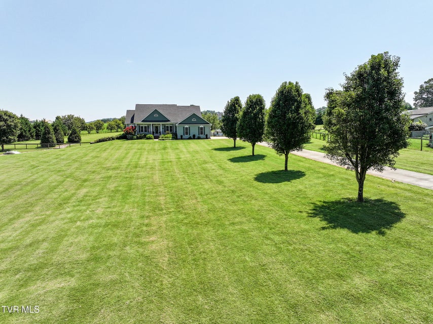 Photo #82: 169 Stockton Road
