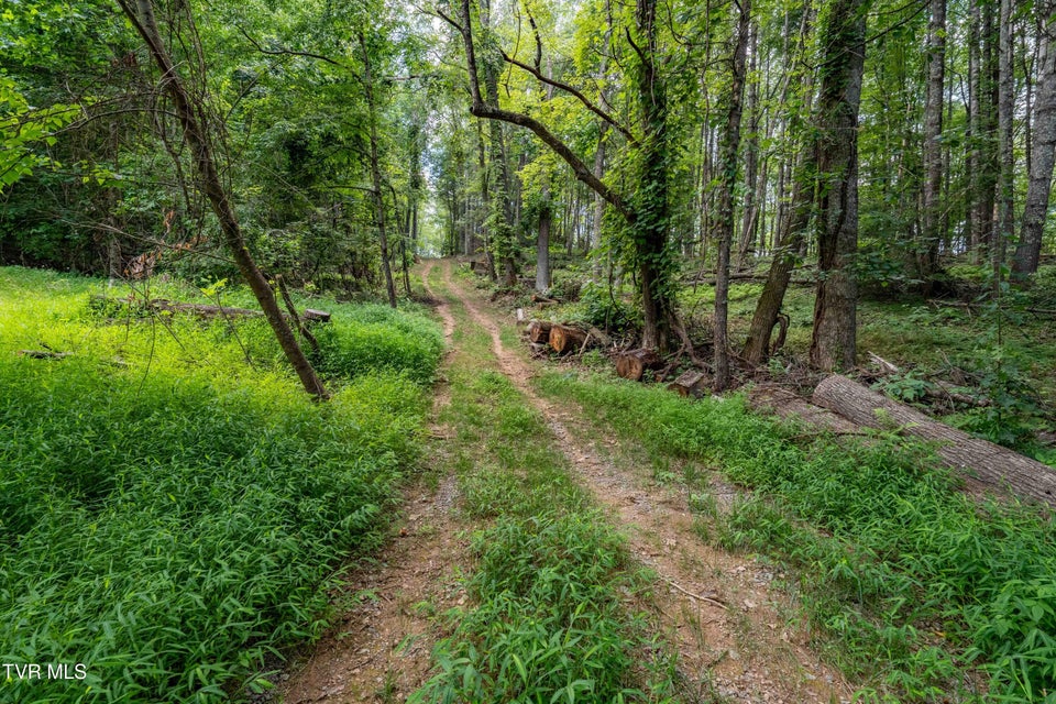 Photo #20: Tbd Of Crackers Neck Road