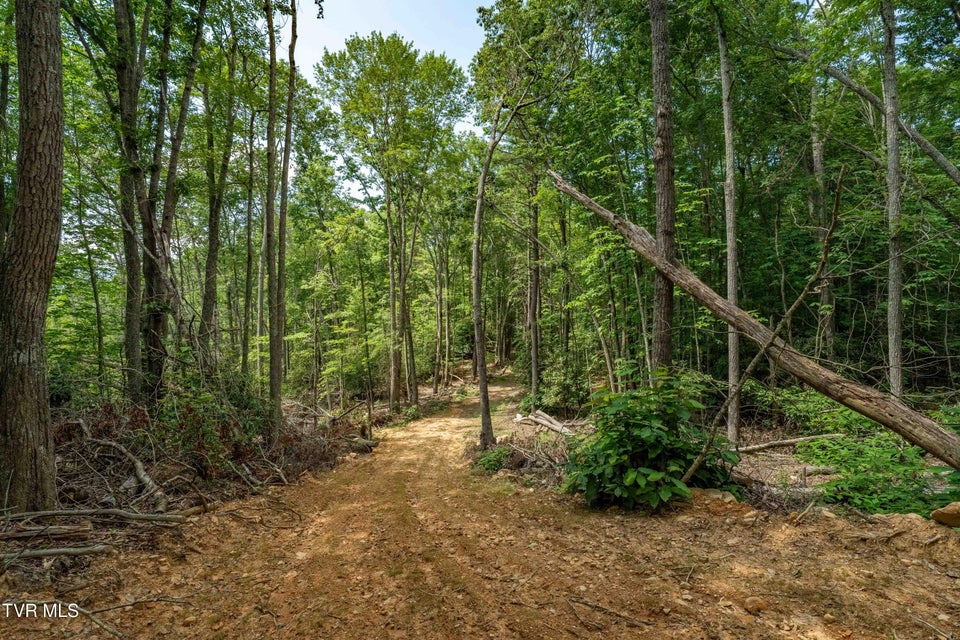 Photo #25: Tbd Of Crackers Neck Road