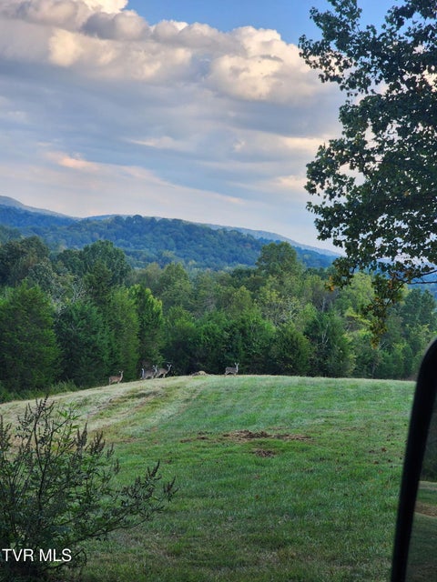 Photo #19: 120 Richards Road