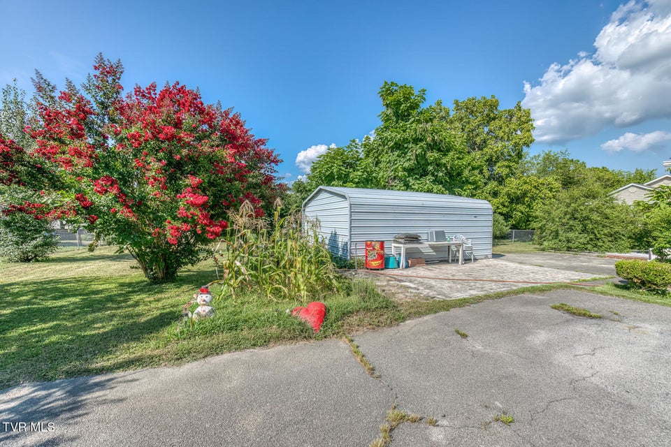 Photo #5: 1026 Robertson Street