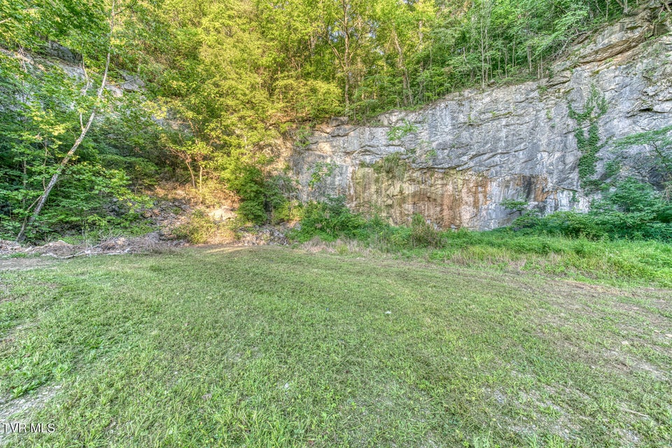 Photo #19: 1905 Rock Springs Road