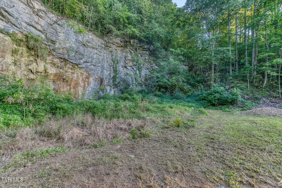 Photo #20: 1905 Rock Springs Road