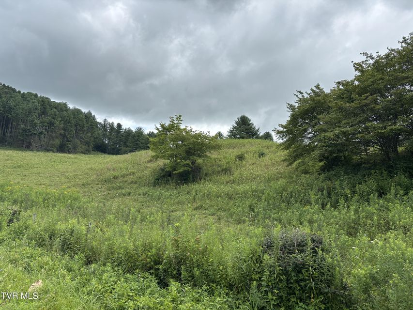 Photo #2: Tbd Jenkins Hollow Road