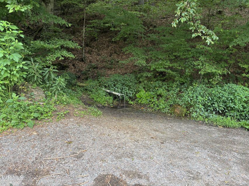 Photo #4: Tbd Jenkins Hollow Road