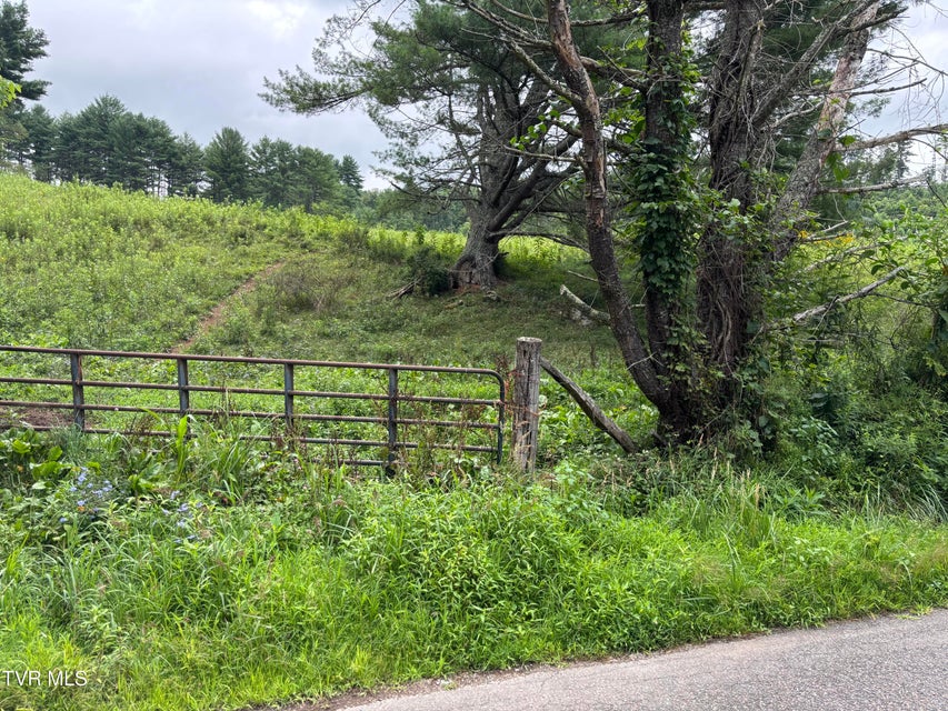 Photo #5: Tbd Jenkins Hollow Road