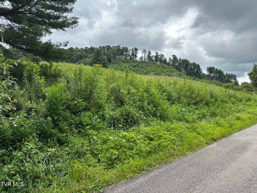 Photo #6: Tbd Jenkins Hollow Road