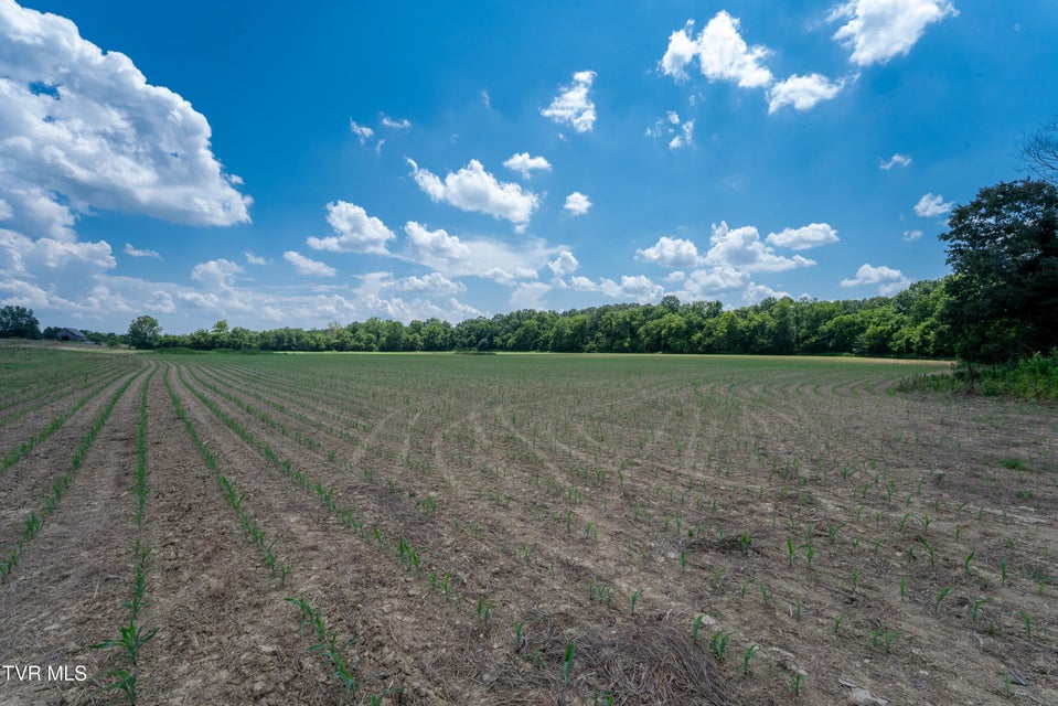 Photo #5: 1550 Mount Hope Road