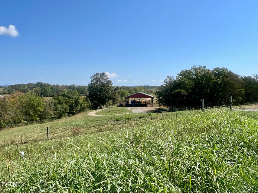 Photo #33: 1550 Mount Hope Road