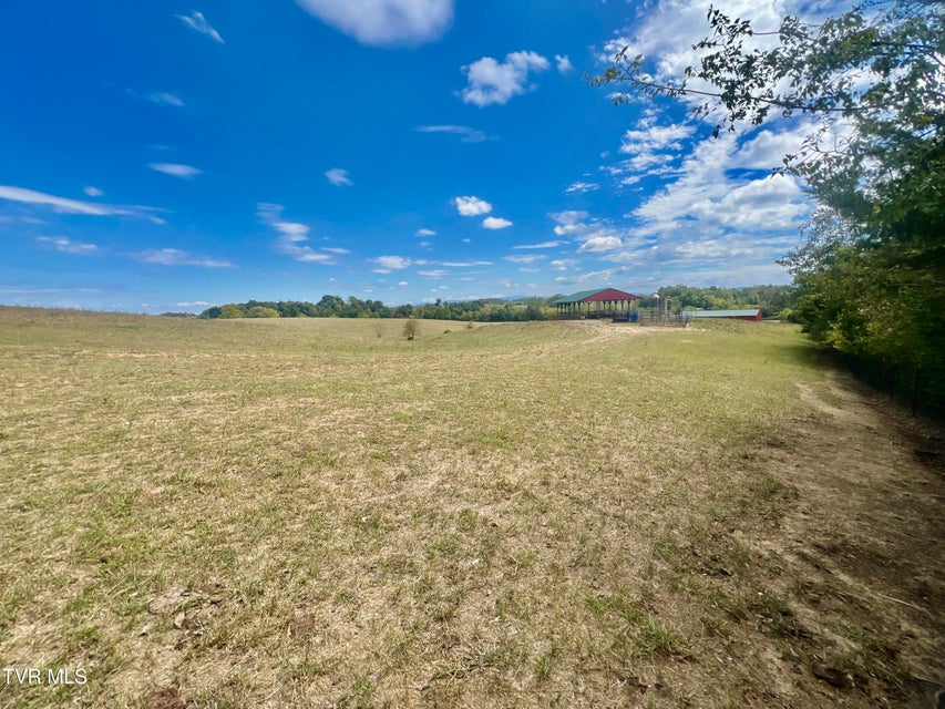 Photo #42: 1550 Mount Hope Road