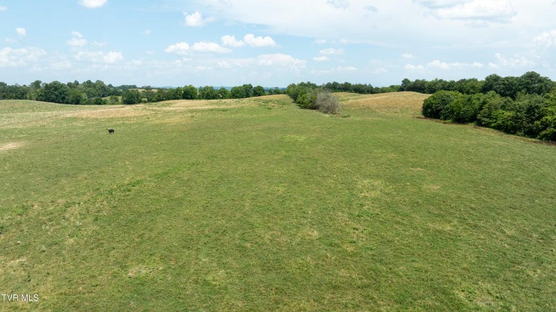 Photo #49: 1550 Mount Hope Road