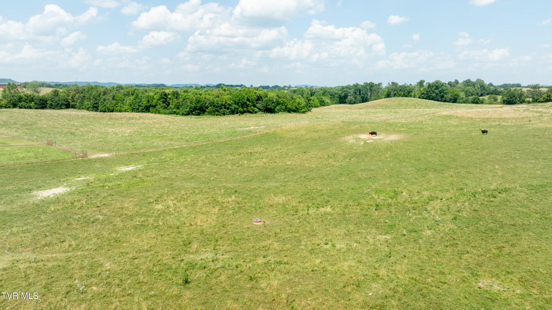 Photo #50: 1550 Mount Hope Road