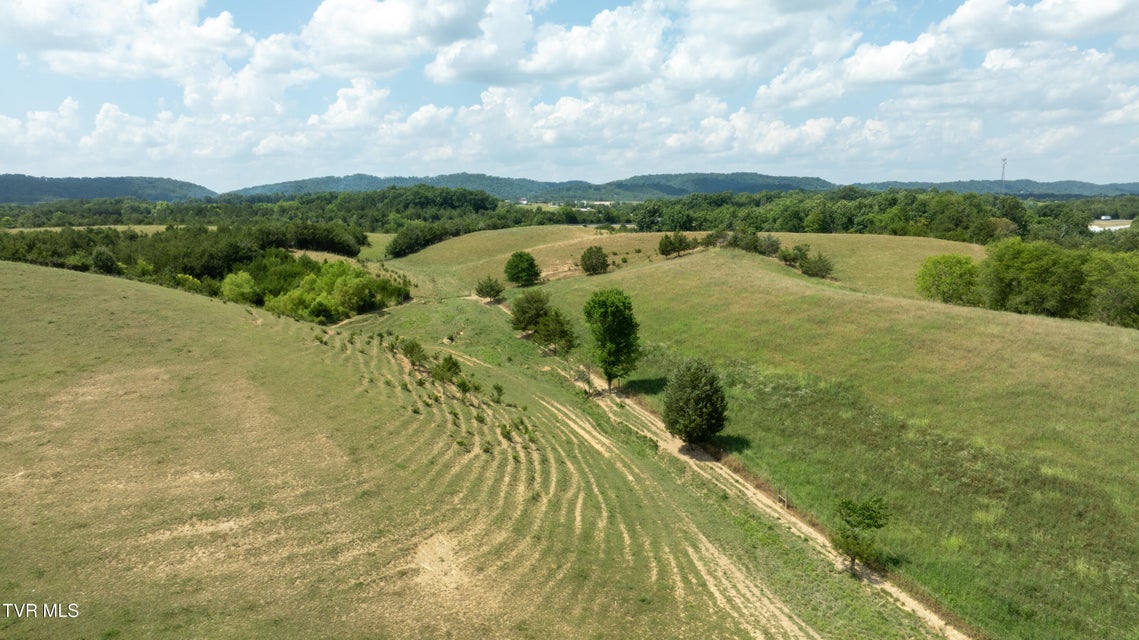 Photo #51: 1550 Mount Hope Road