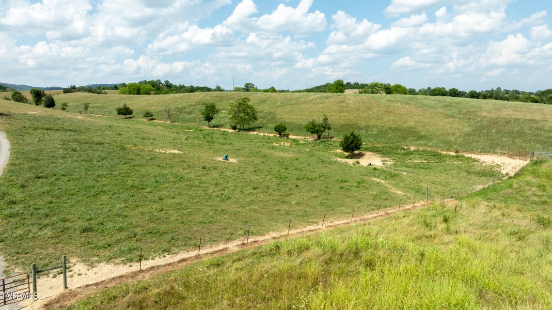 Photo #52: 1550 Mount Hope Road