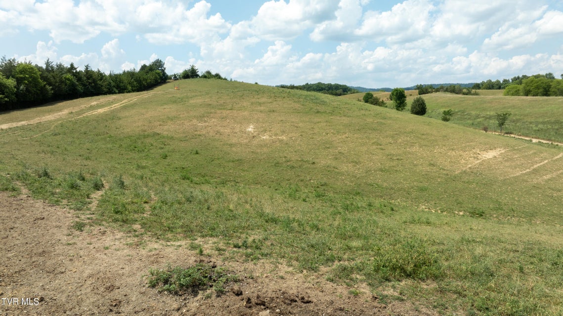 Photo #53: 1550 Mount Hope Road