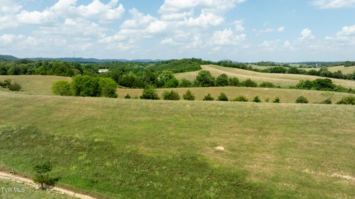 Photo #54: 1550 Mount Hope Road