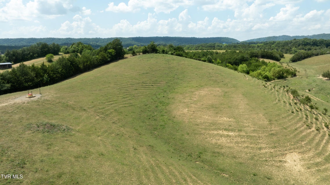 Photo #55: 1550 Mount Hope Road
