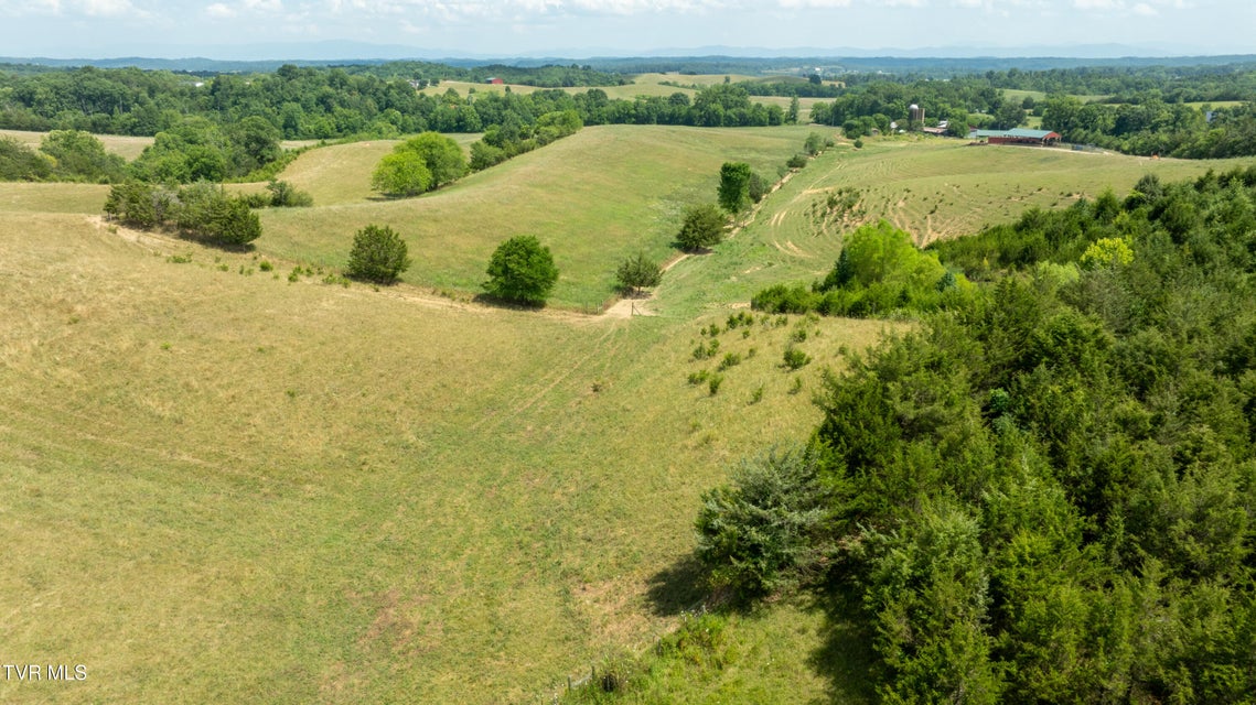 Photo #56: 1550 Mount Hope Road