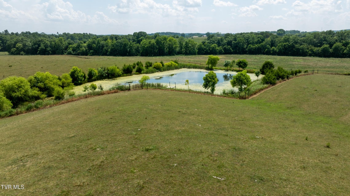 Photo #58: 1550 Mount Hope Road