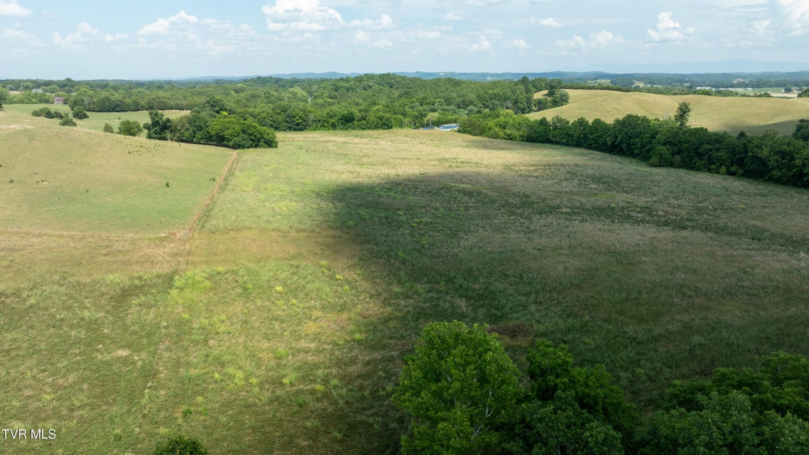 Photo #62: 1550 Mount Hope Road
