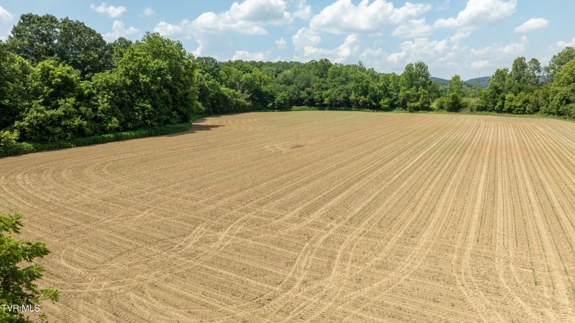 Photo #70: 1550 Mount Hope Road