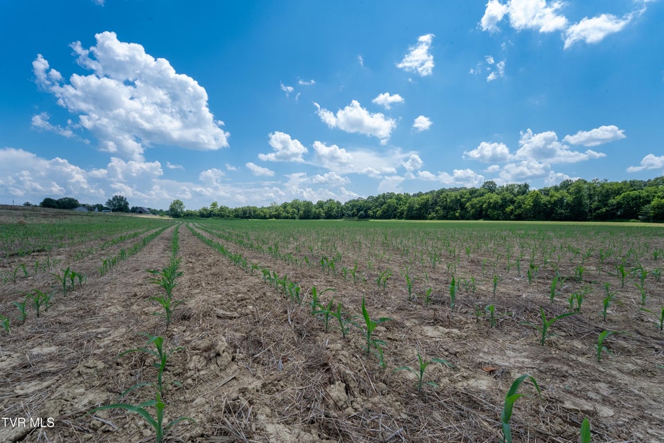 Photo #71: 1550 Mount Hope Road
