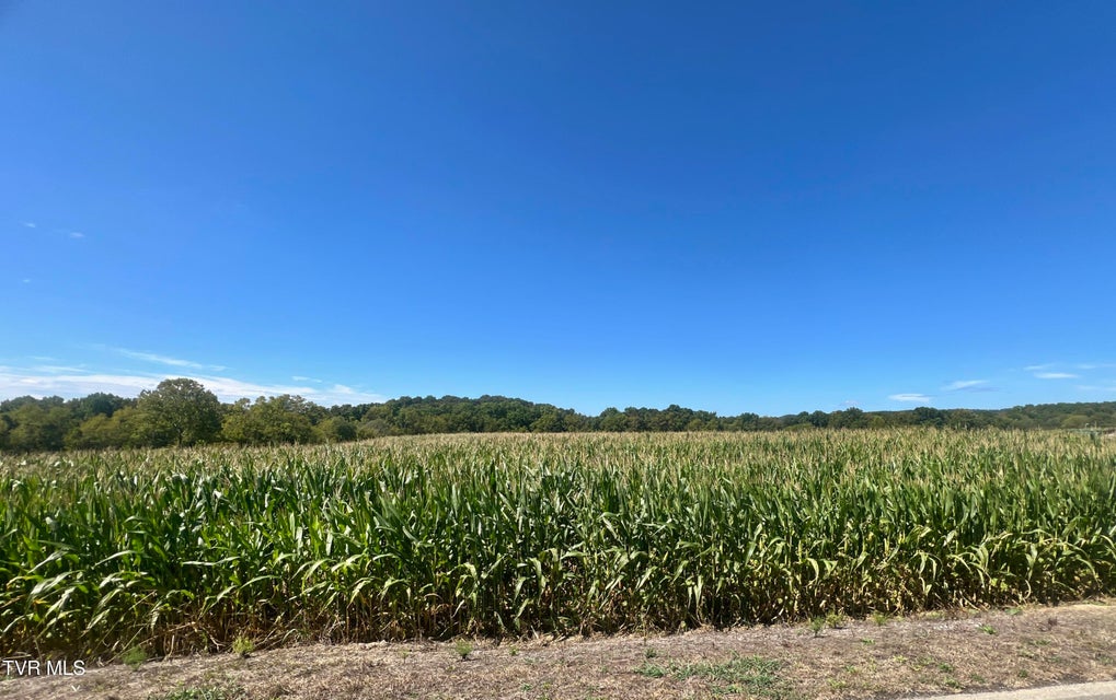 Photo #72: 1550 Mount Hope Road