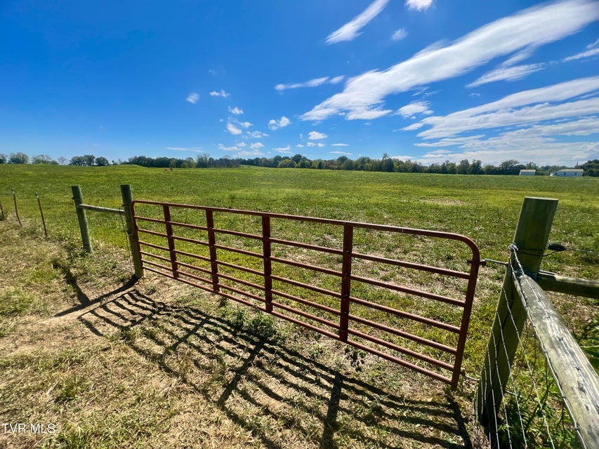 Photo #74: 1550 Mount Hope Road