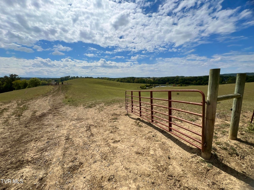Photo #79: 1550 Mount Hope Road