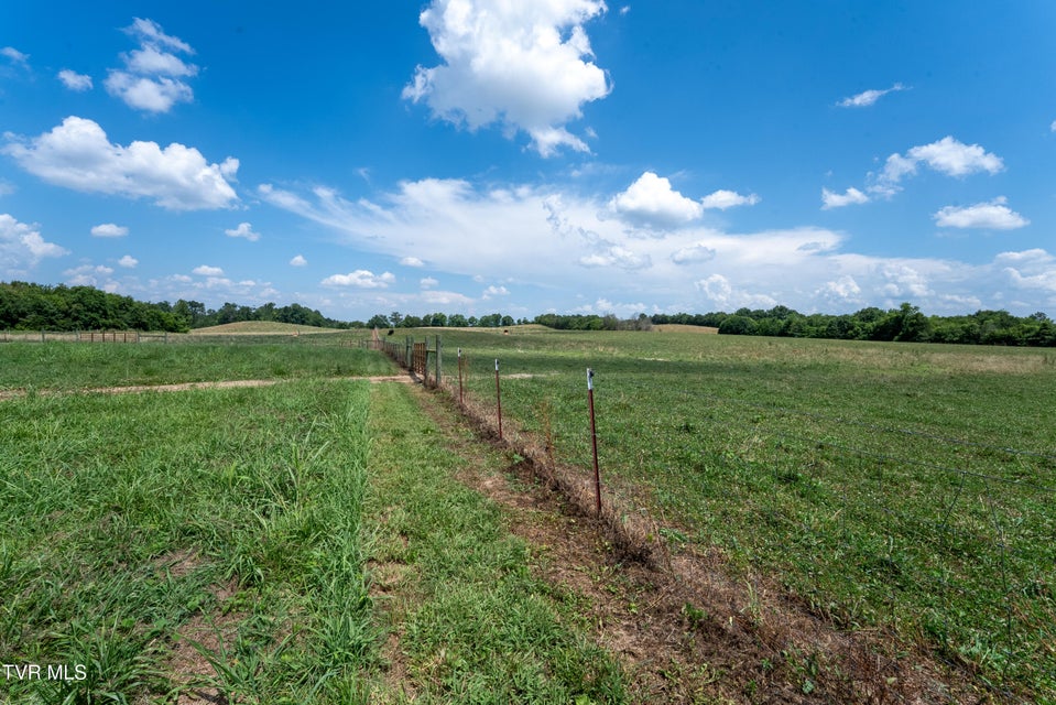 Photo #89: 1550 Mount Hope Road