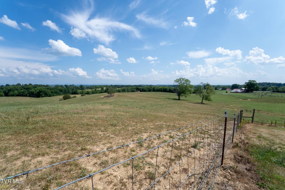 Photo #91: 1550 Mount Hope Road