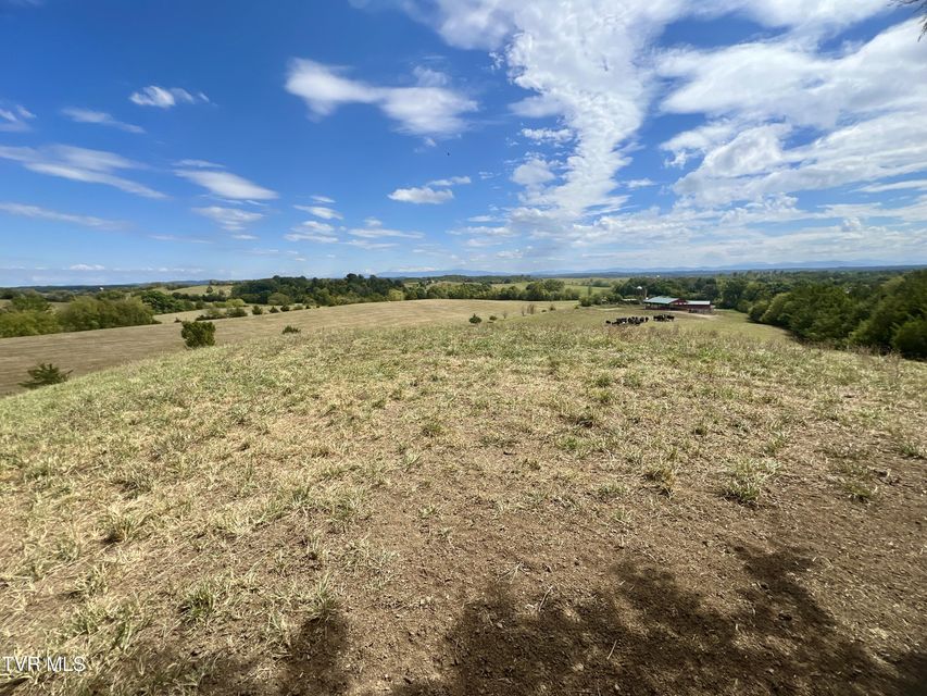 Photo #96: 1550 Mount Hope Road