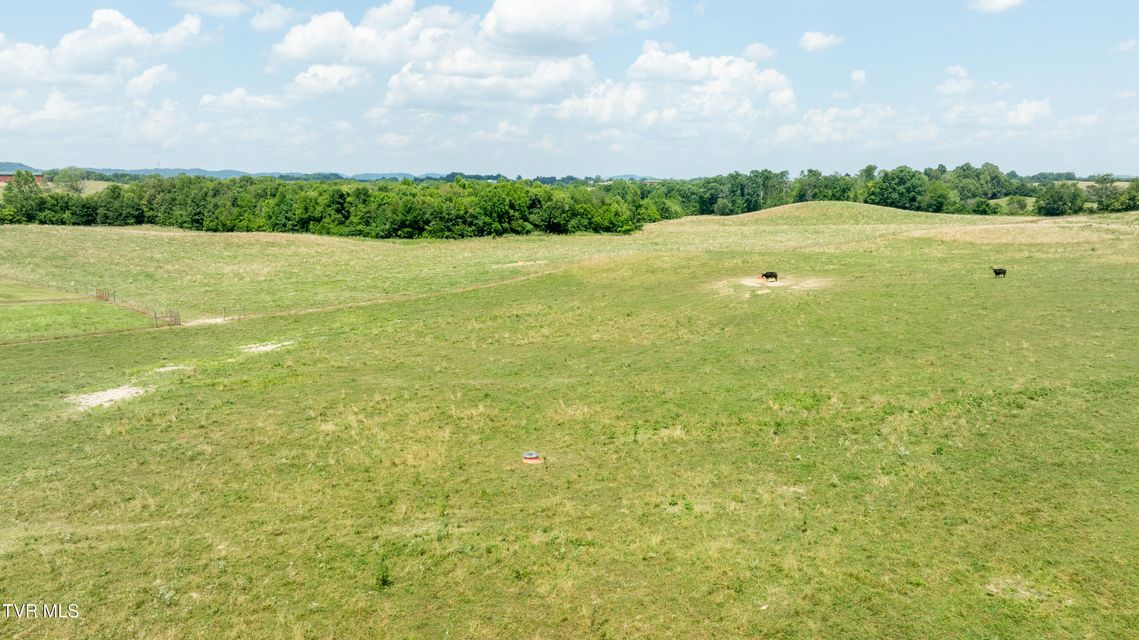 Photo #50: 1550 Mount Hope Road