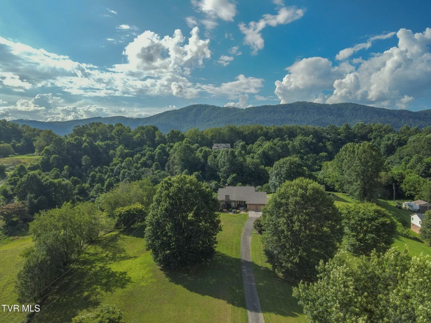 Photo #3: 2225 Buena Vista Road