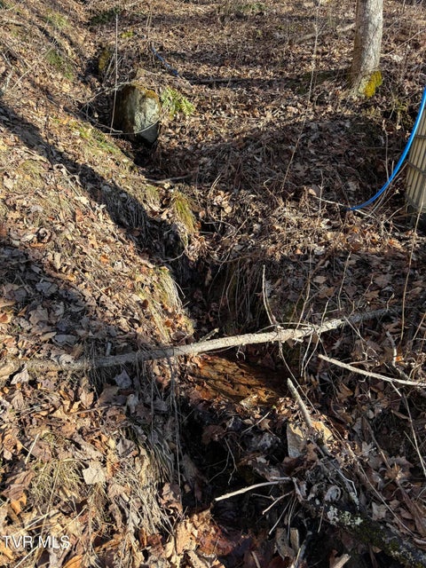 Photo #3: 6020 Forge Creek Road