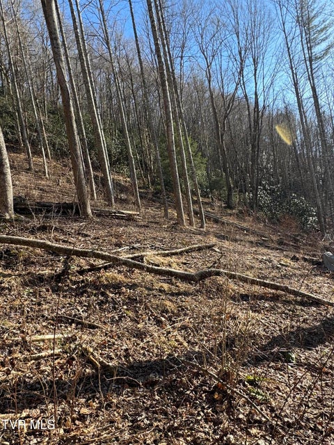 Photo #2: 6020 Forge Creek Road