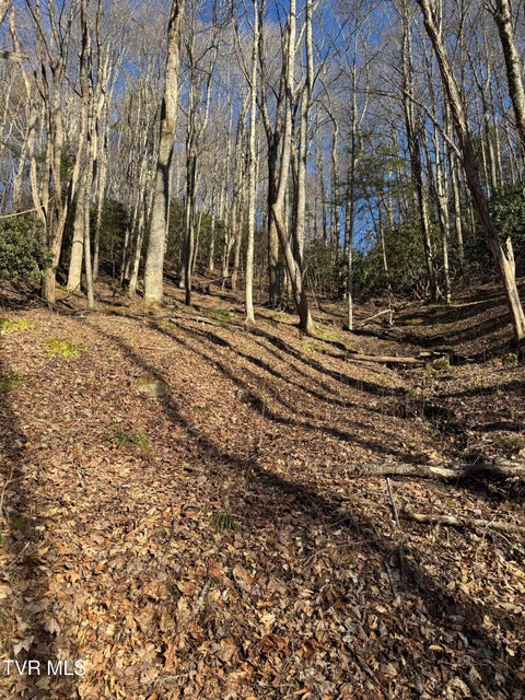 Photo #5: 6020 Forge Creek Road