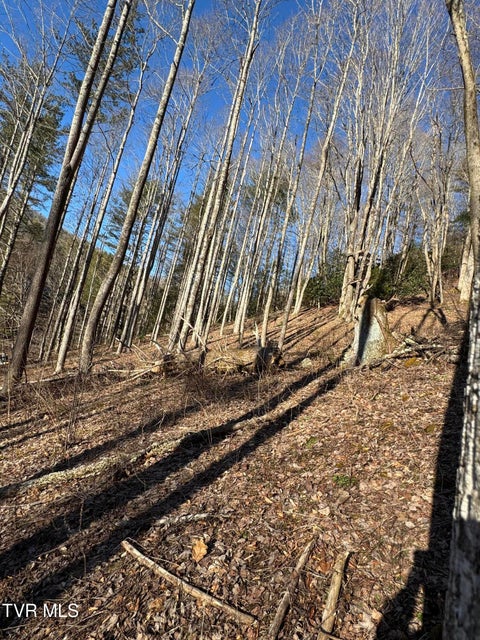 Photo #7: 6020 Forge Creek Road