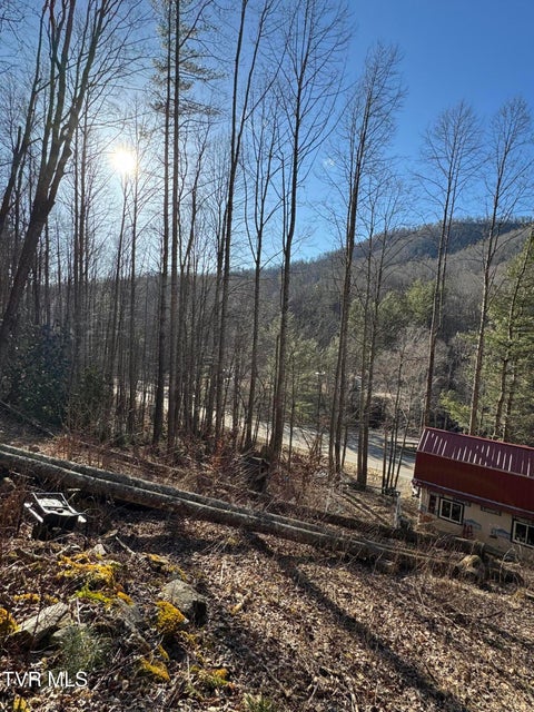 Photo #8: 6020 Forge Creek Road
