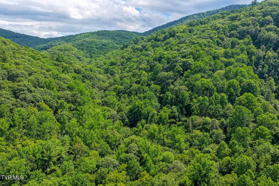 Photo #54: 2394 Spivey Mountain Road