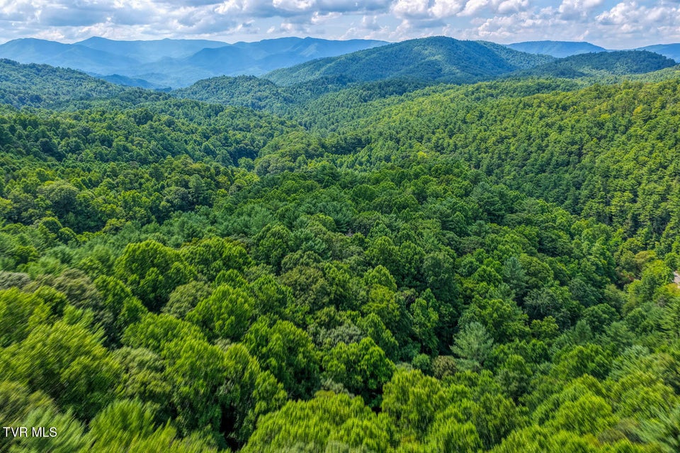Photo #60: 2394 Spivey Mountain Road
