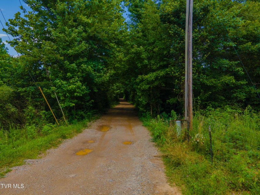 Photo #5: 213 Cedar Ridge
