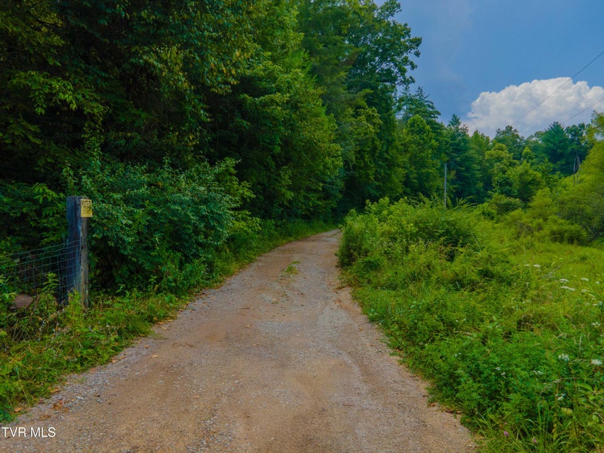 Photo #6: 213 Cedar Ridge