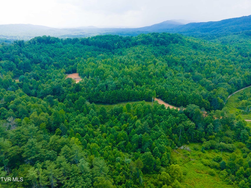 Photo #9: 213 Cedar Ridge