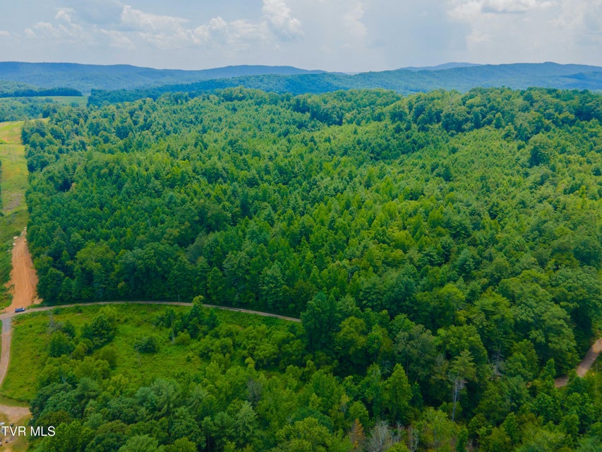 Photo #14: 213 Cedar Ridge